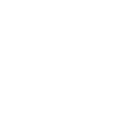 Litecoin Logo